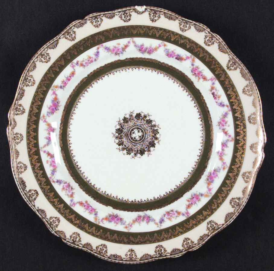 H150 Dinner Plate by Haviland-1