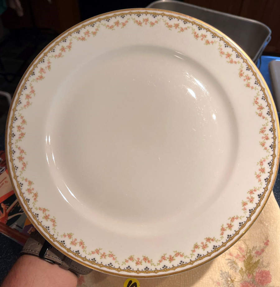 H160 Dinner Plate by Haviland-1