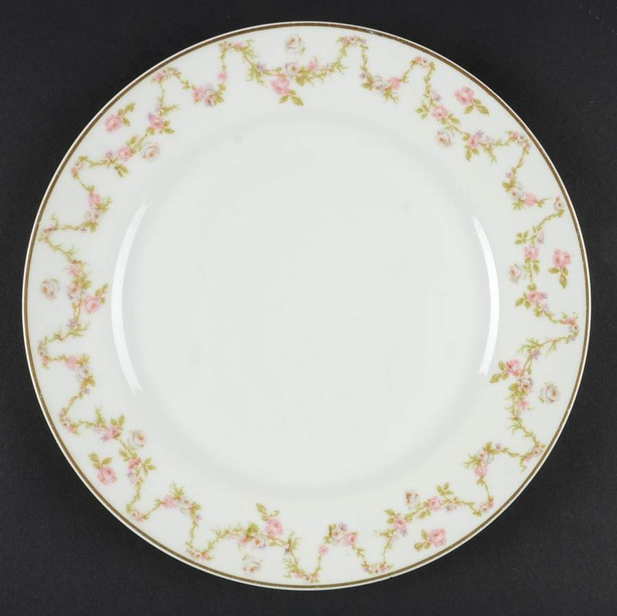 H164 Luncheon Plate by Haviland-1