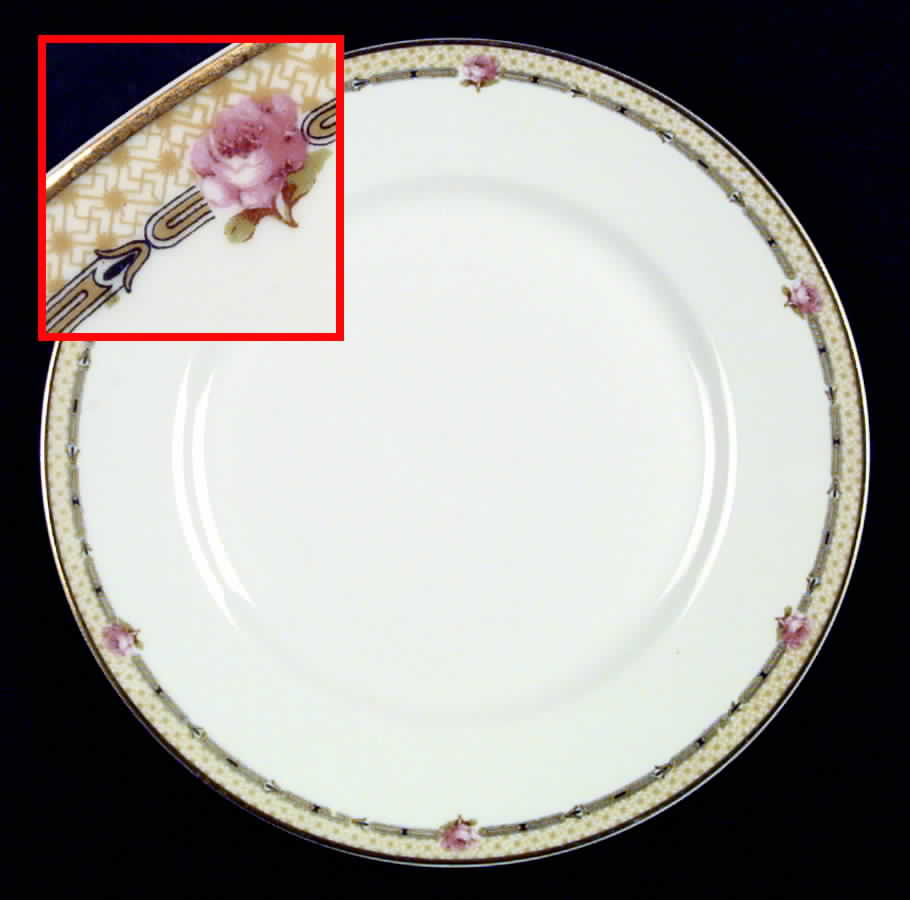 H166 Dinner Plate by Haviland-1