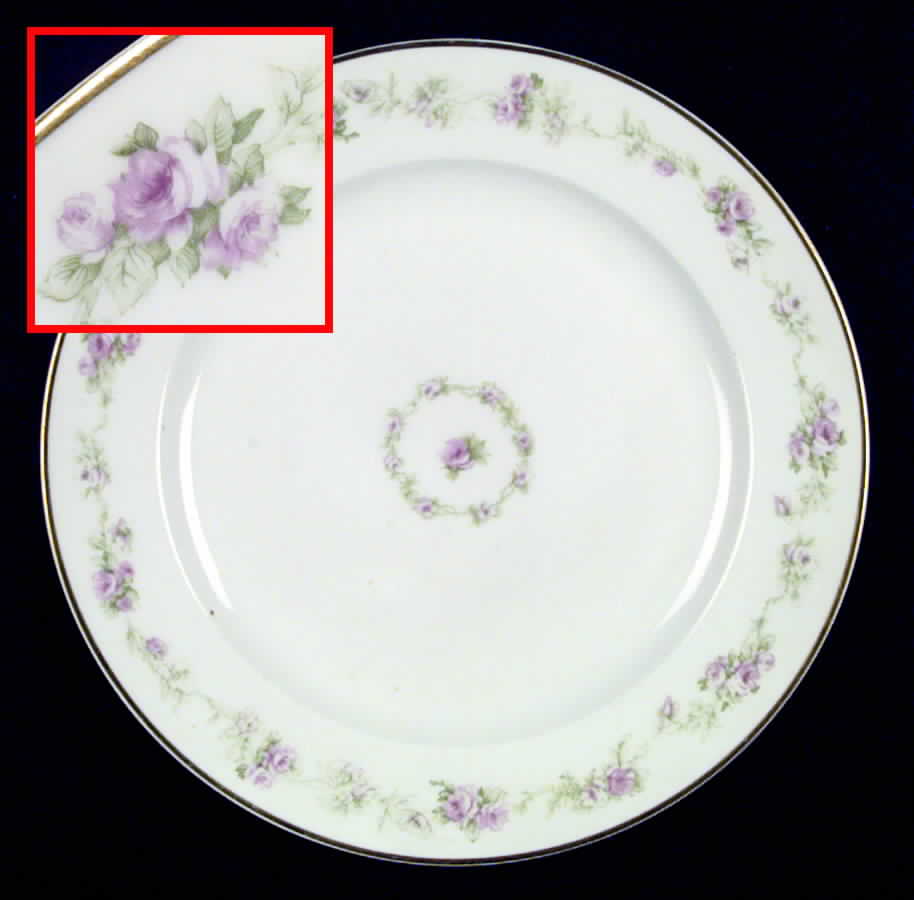 H168 Dinner Plate by Haviland-1