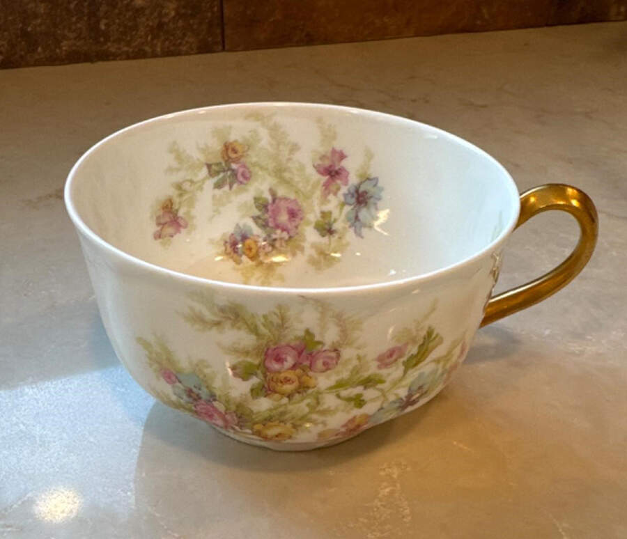 H169 Flat Cup by Haviland-1