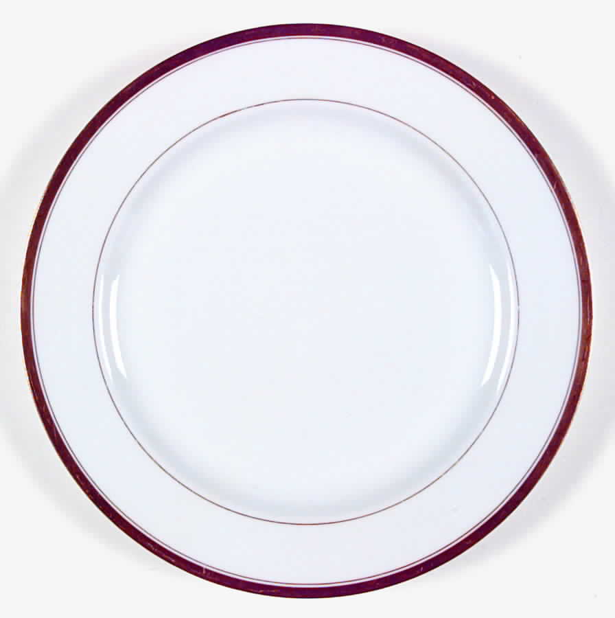 H17 Dinner Plate by Haviland-1
