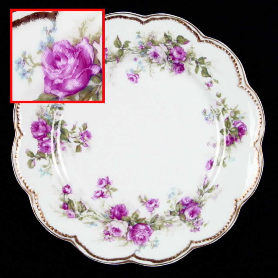 H172 Dinner Plate by Haviland-1