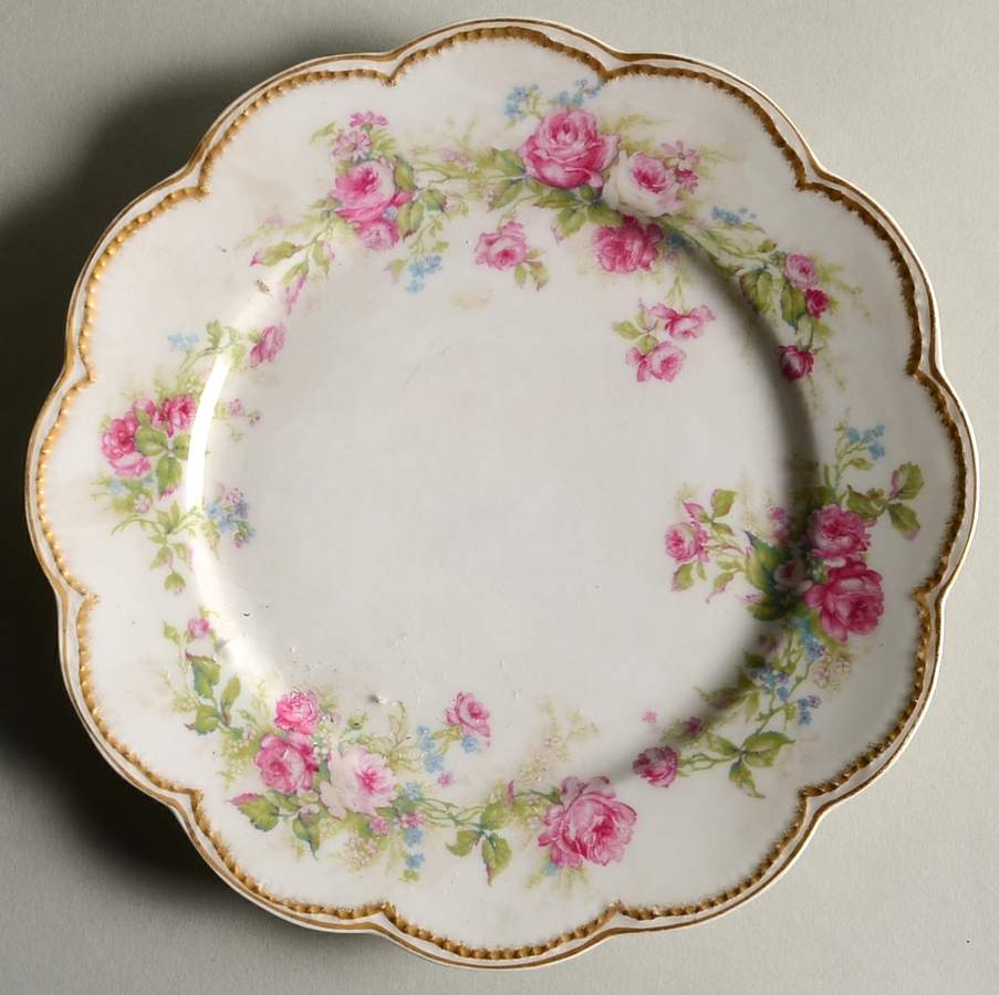 H172 Luncheon Plate by Haviland-1