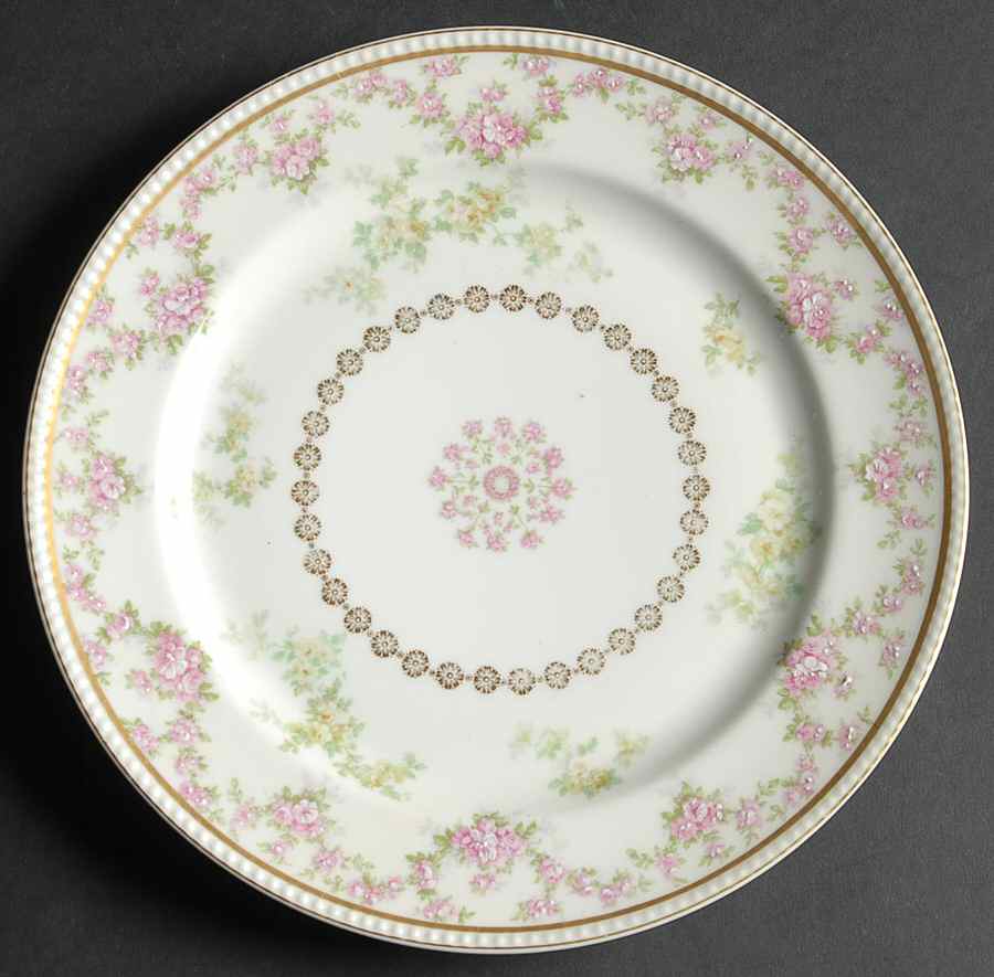 H174 Dinner Plate by Haviland-1