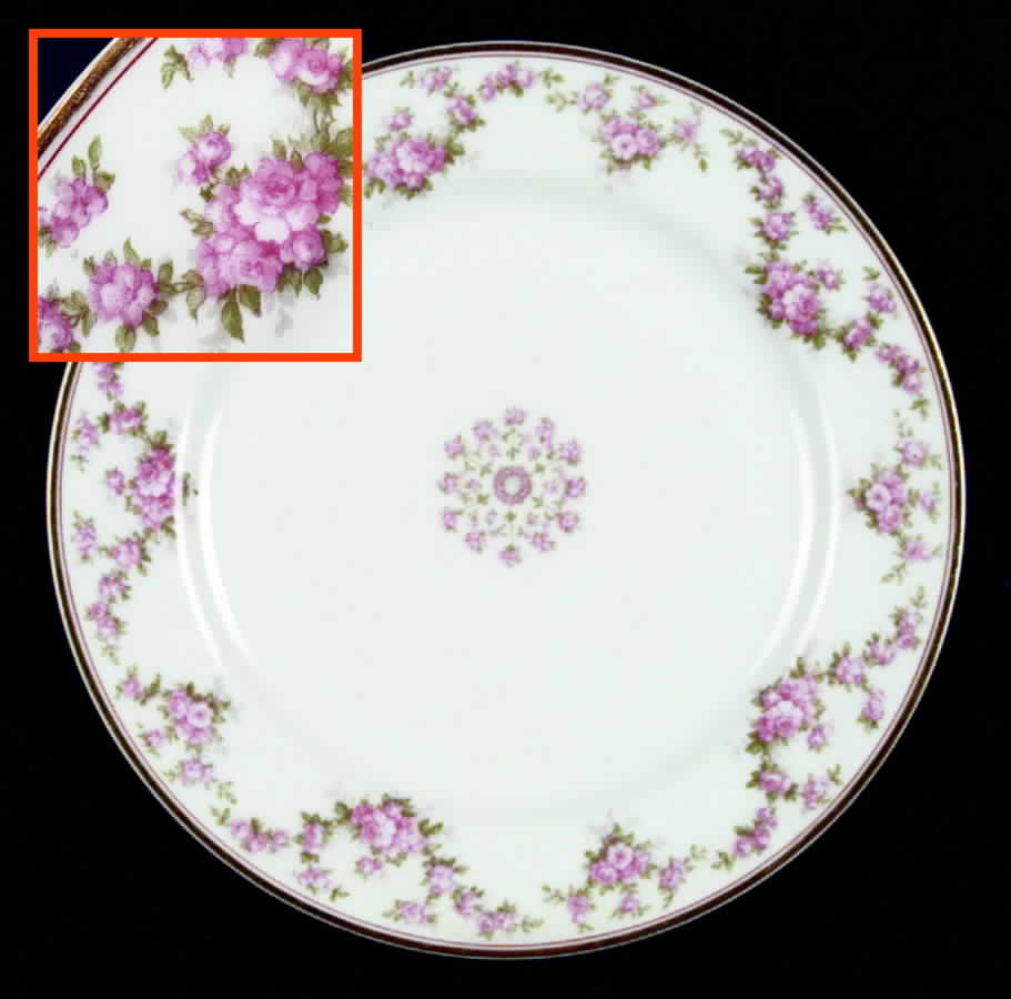H175 Dinner Plate by Haviland-1