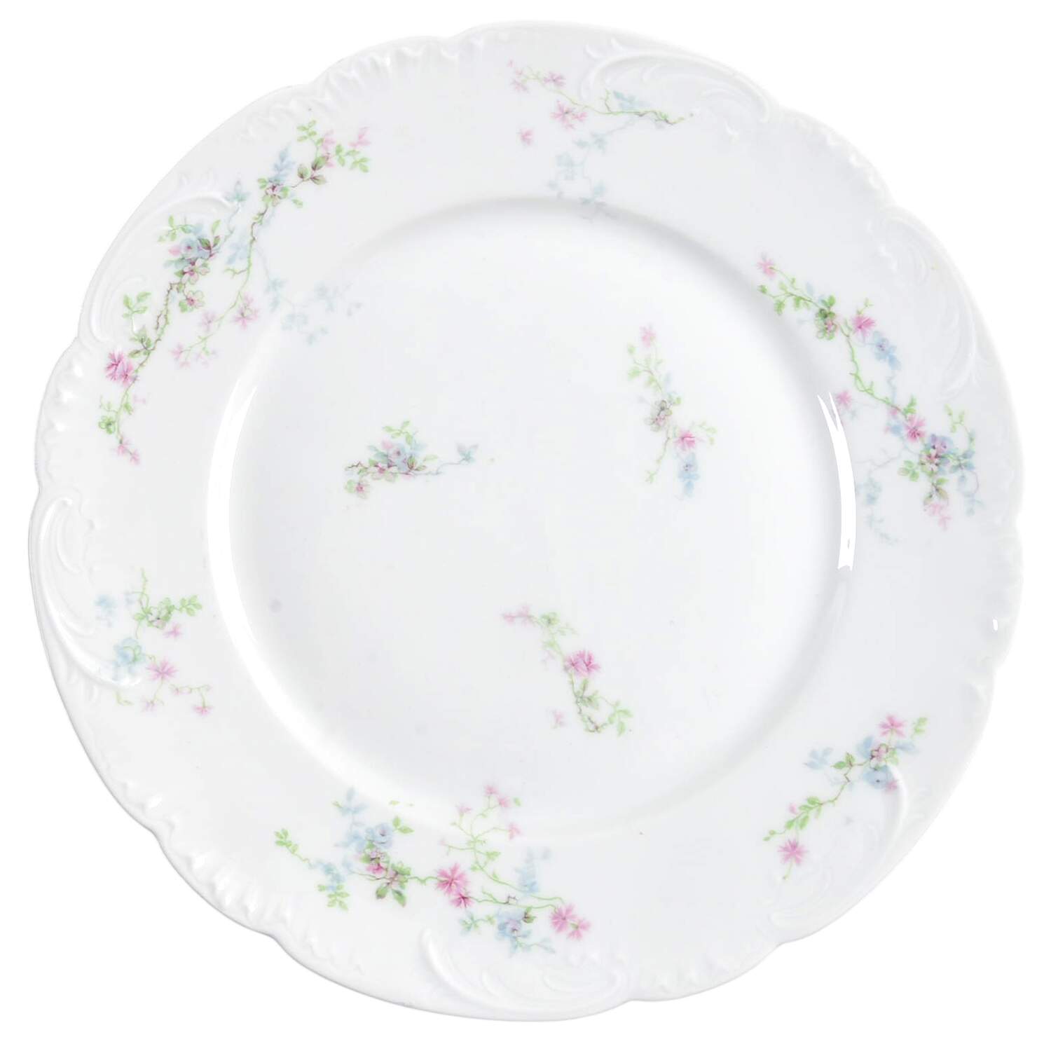 H176 Dinner Plate by Haviland-1