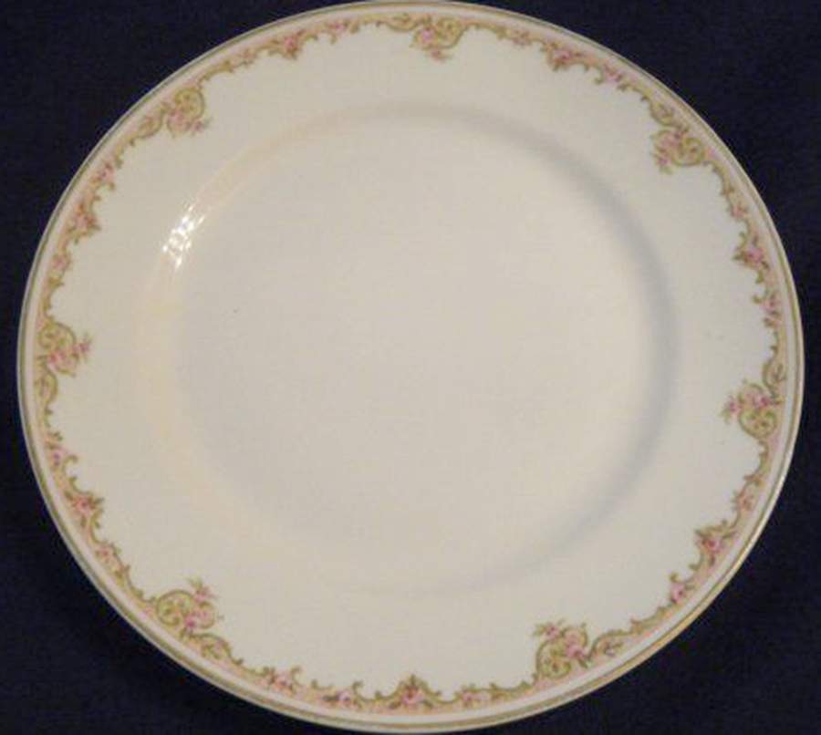 H18 Luncheon Plate by Haviland-1