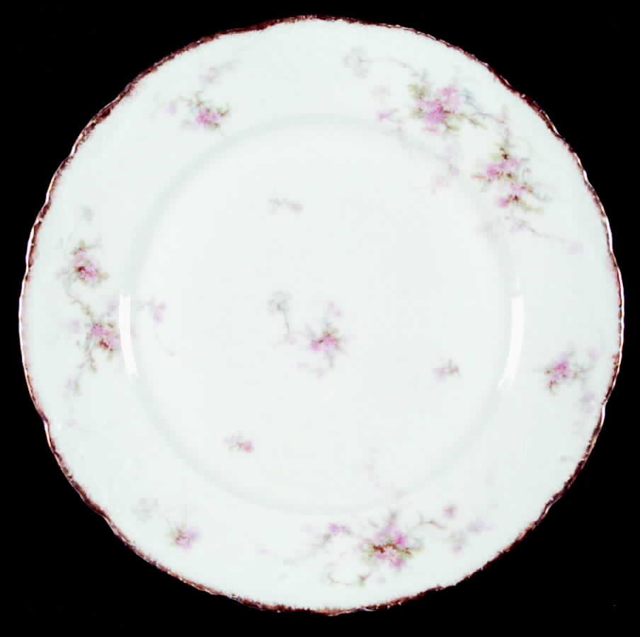 H189 Dinner Plate by Haviland-1