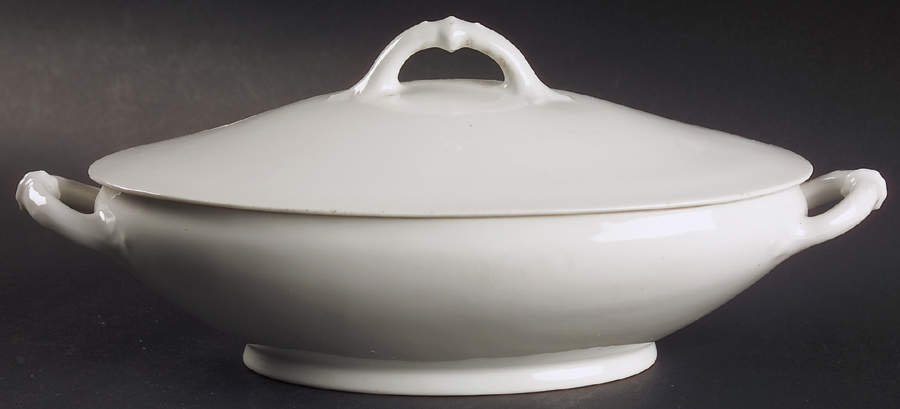 H20 Oval Covered Vegetable by Haviland-1