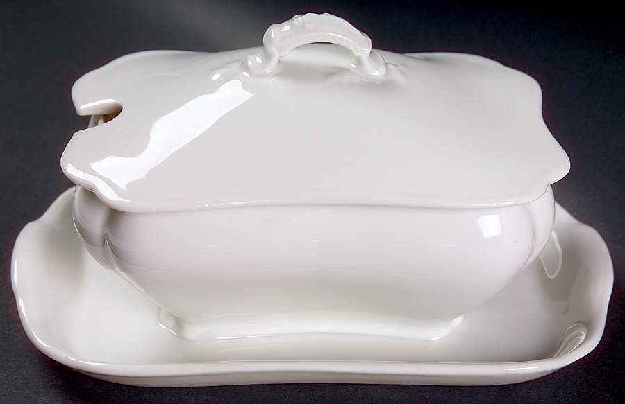 H20 Gravy Boat w/Attached Underplate & Lid by Haviland-1