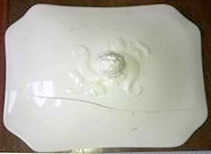 H20 Lid for Rectangular Vegetable by Haviland-1
