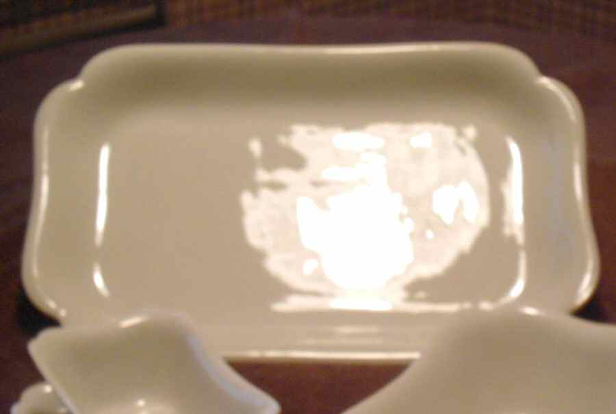 H20 14" Rectangular Serving Platter by Haviland-1