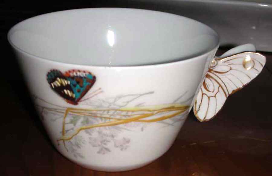 Meadow Visitors (Blank 4, No Trim) Flat Cup by Haviland-1