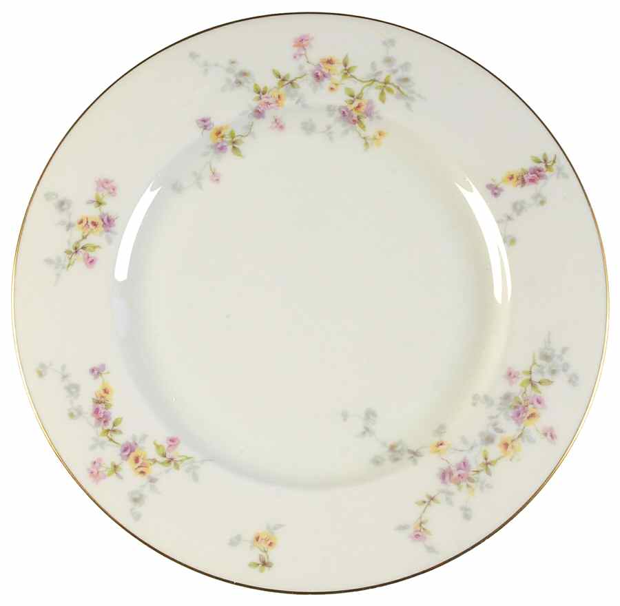 H217 Dinner Plate by Haviland-1