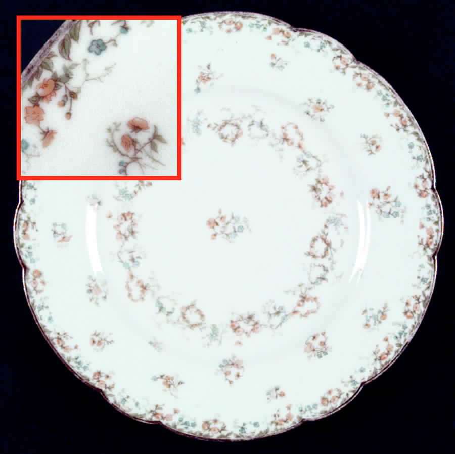 H218 Dinner Plate by Haviland-1
