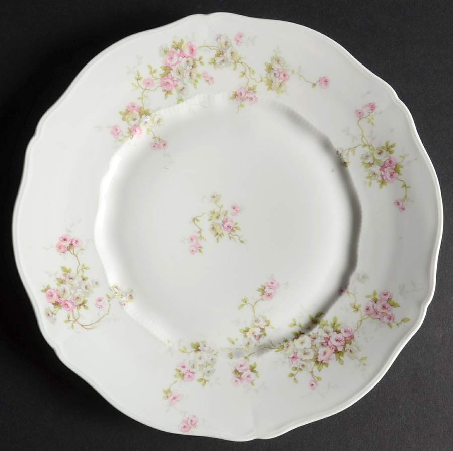 Schleiger 320-4 Salad Plate by Haviland-1