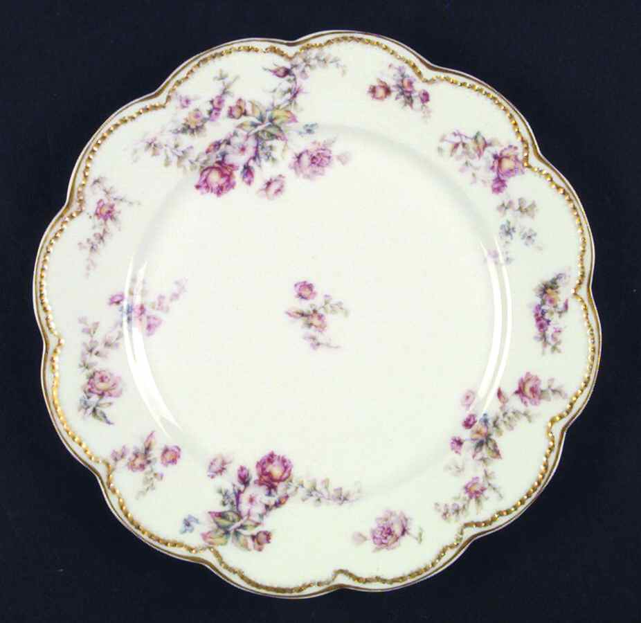 Schleiger 682b Salad Plate by Haviland-1