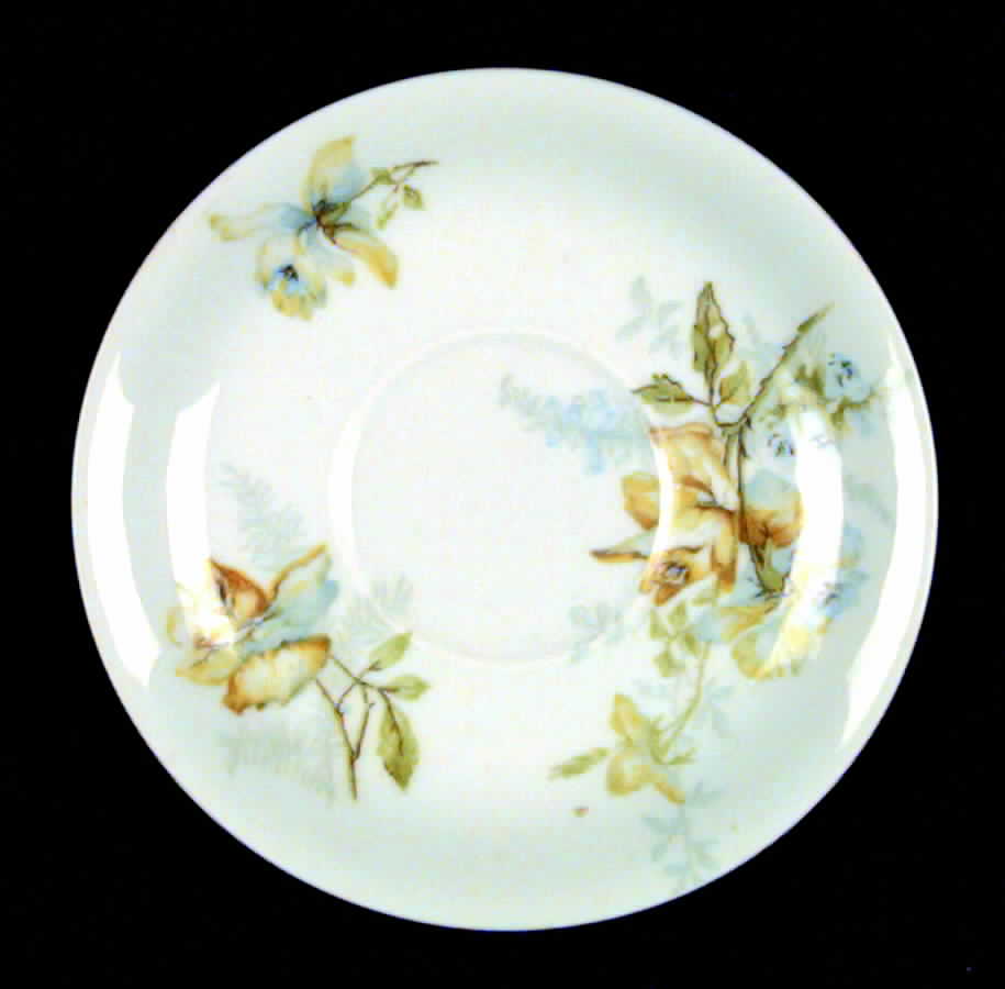 Schleiger 1234b Saucer by Haviland-1