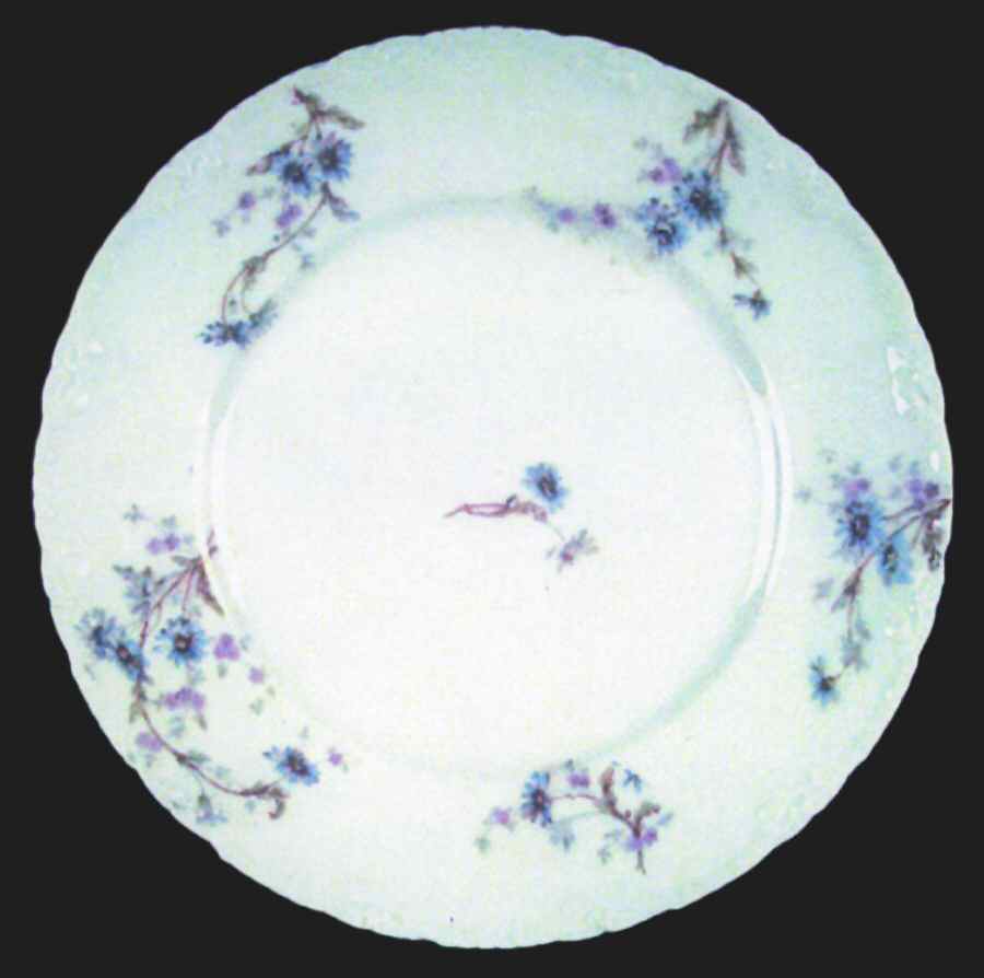 Schleiger 1034-3 Dinner Plate by Haviland-1