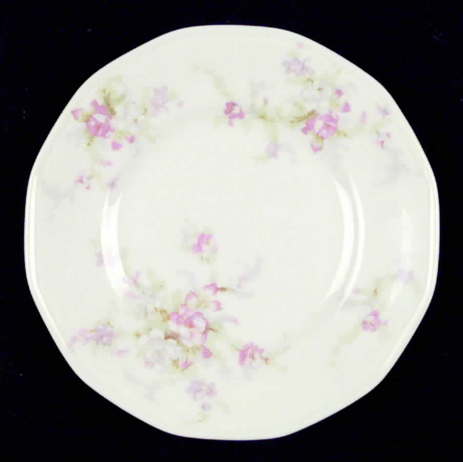 H257 Bread & Butter Plate by Haviland-1