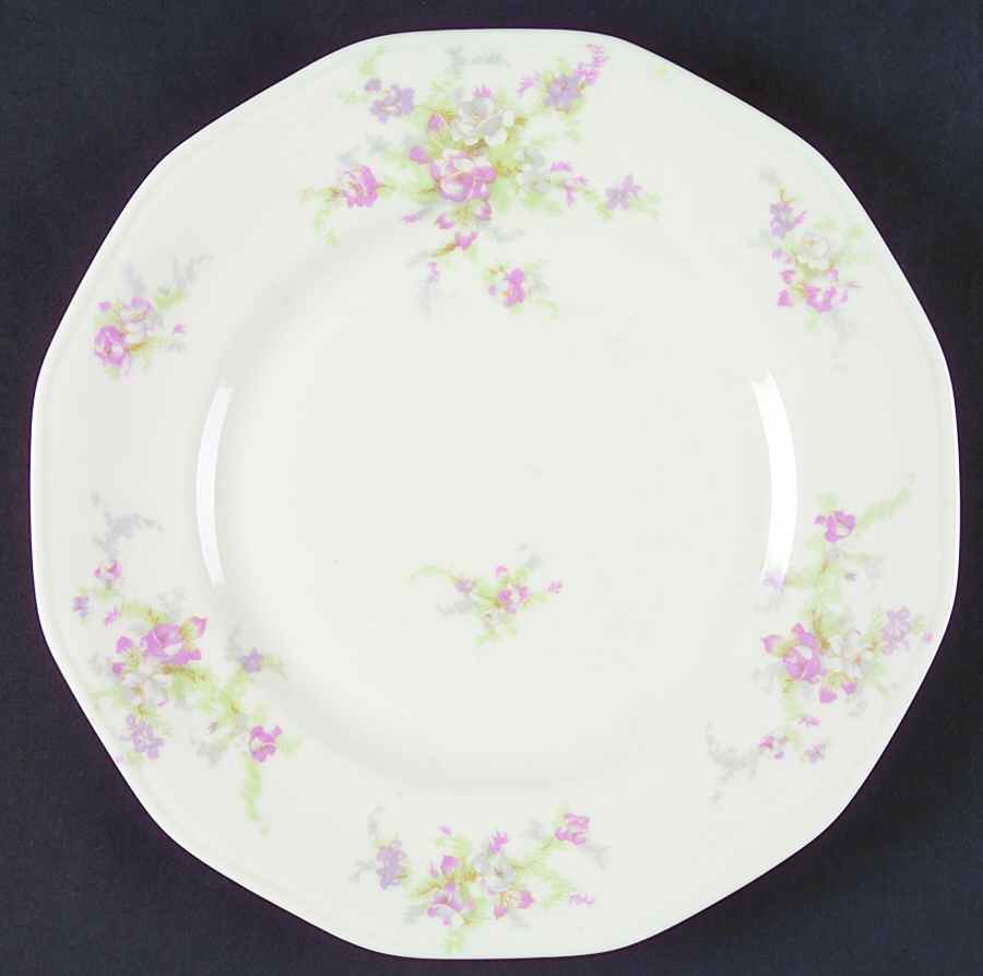 H257 Dinner Plate by Haviland-1