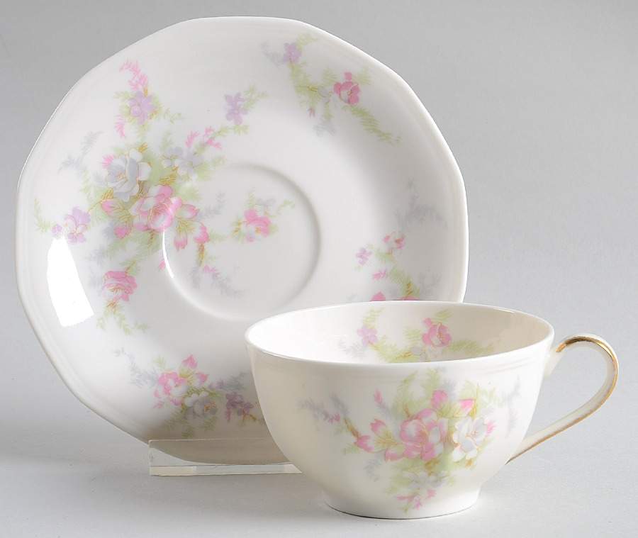 H257 Flat Cup & Saucer Set by Haviland-1