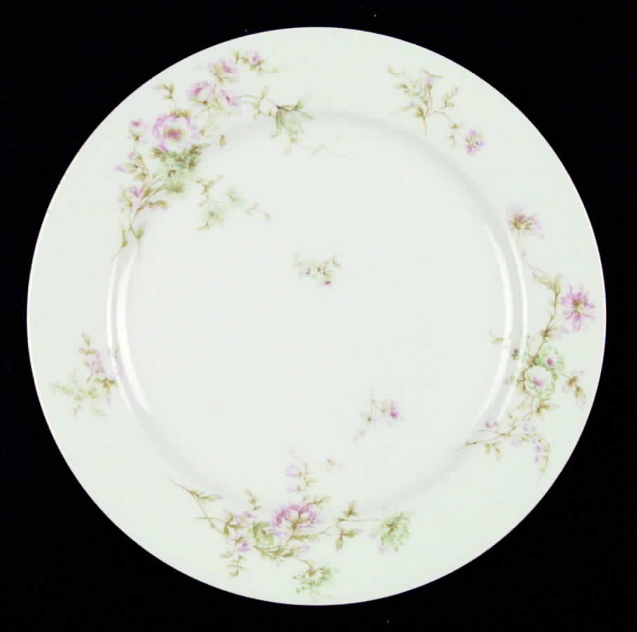 H258 Dinner Plate by Haviland-1
