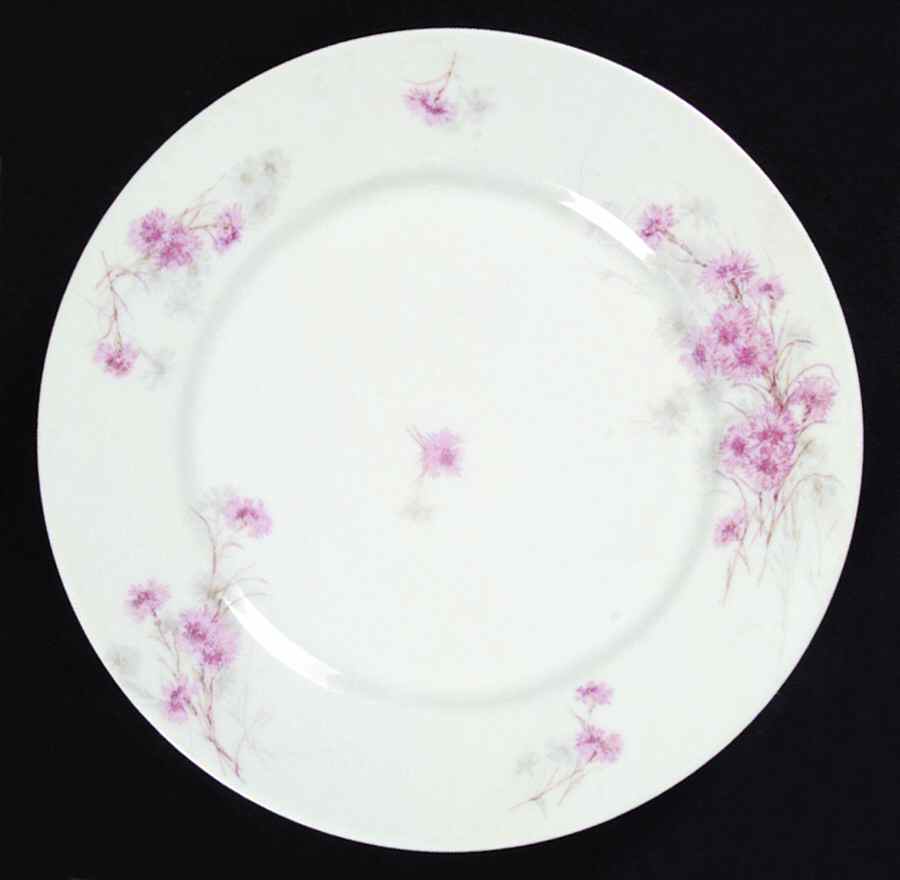 Schleiger 431-3 Dinner Plate by Haviland-1