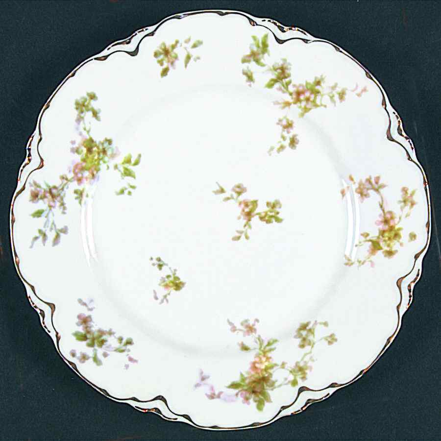 H260 Dinner Plate by Haviland-1