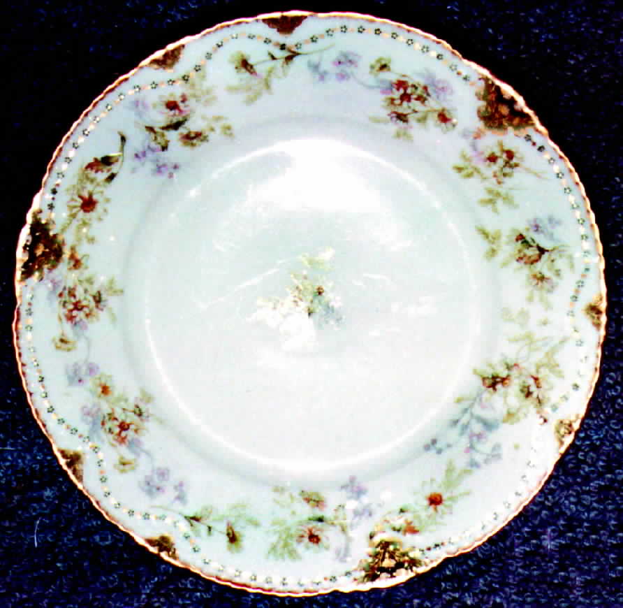 H264 Dinner Plate by Haviland-1