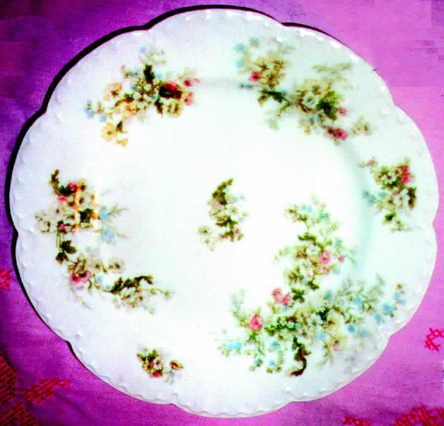 H268 Dinner Plate by Haviland-1