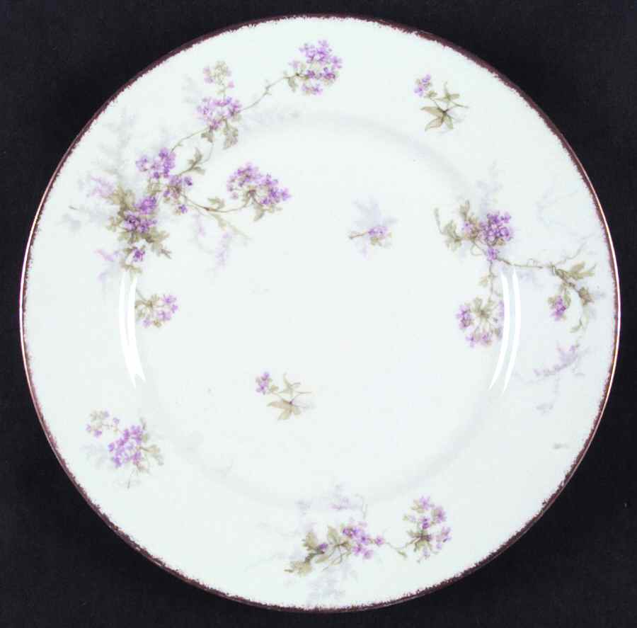 H270 Dinner Plate by Haviland-1