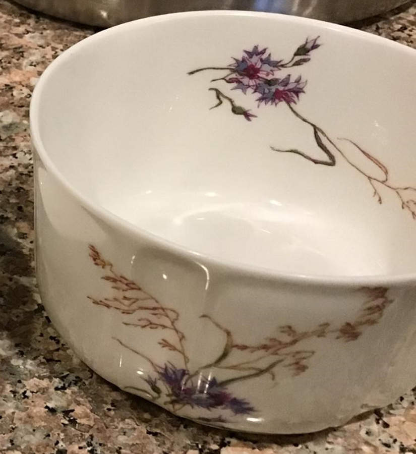 Schleiger 435-2 Fruit/Dessert (Sauce) Bowl by Haviland-1