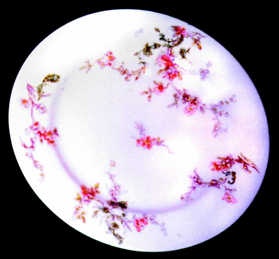 H274 Dinner Plate by Haviland-1