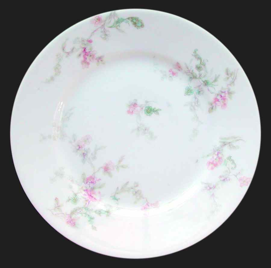 H274 Salad Plate by Haviland-1