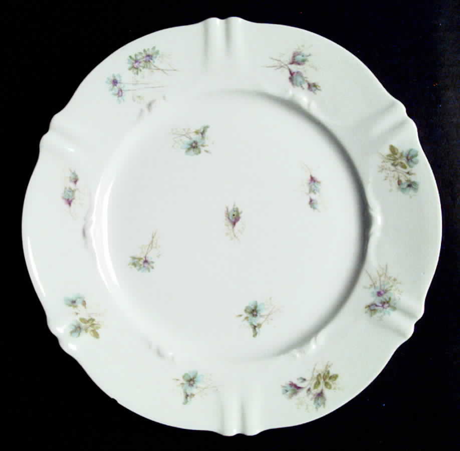 H278 Dinner Plate by Haviland-1
