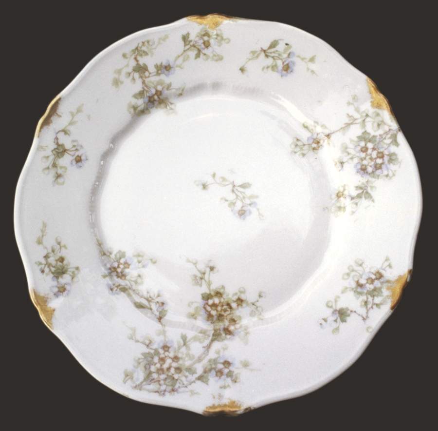 H281 Dinner Plate by Haviland-1