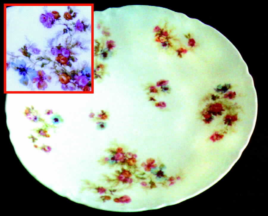 H287 Dinner Plate by Haviland-1