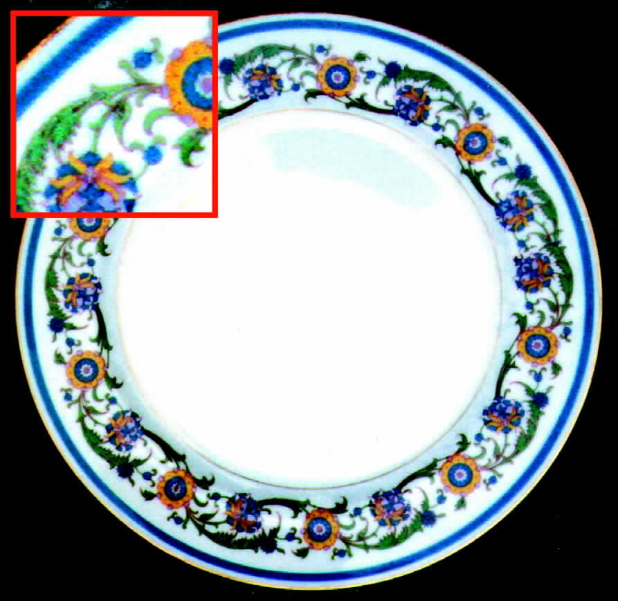 H289 Dinner Plate by Haviland-1