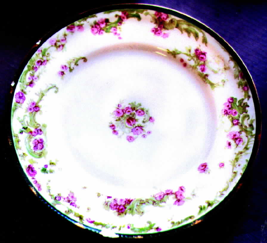 H300 Dinner Plate by Haviland-1