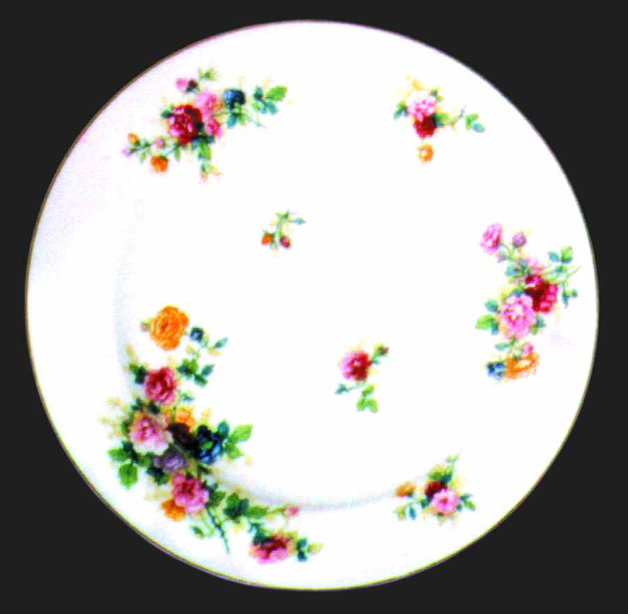 Schleiger 30-5 Dinner Plate by Haviland-1