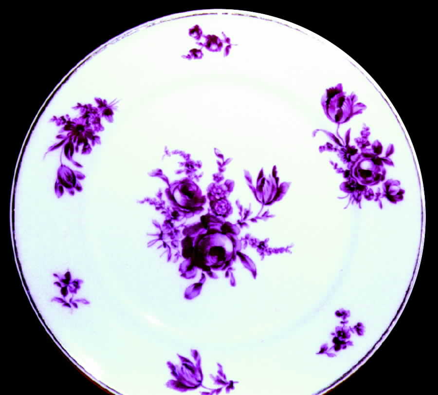 H305 Dinner Plate by Haviland-1
