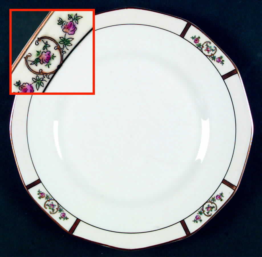 H306 Dinner Plate by Haviland-1