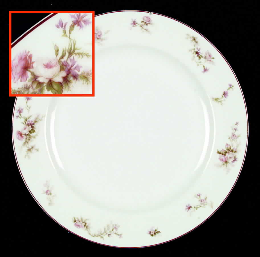 H310 Salad Plate by Haviland-1