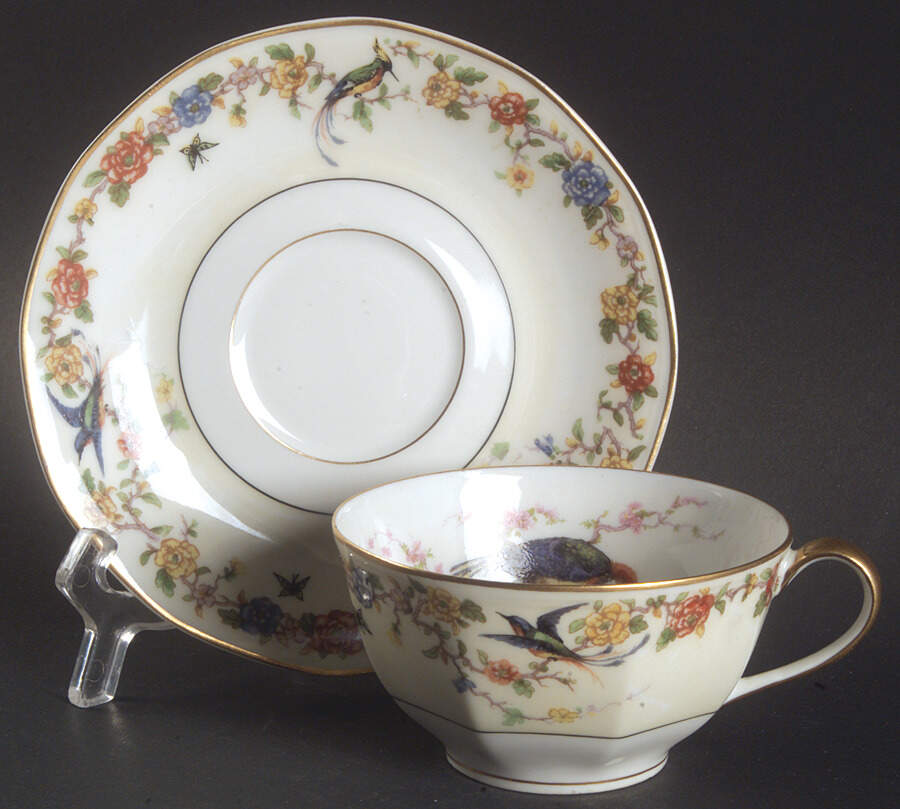 H318 Flat Cup & Saucer Set by Haviland-1