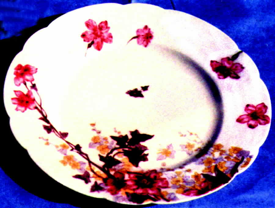 H320 Dinner Plate by Haviland-1