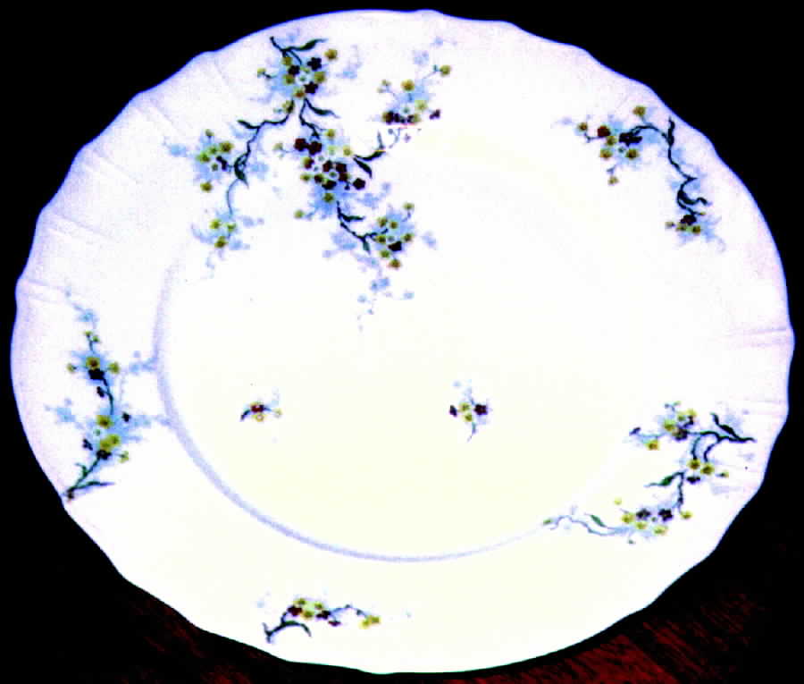 H321 Dinner Plate by Haviland-1