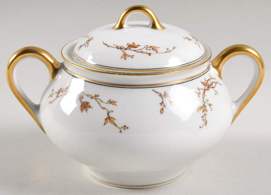 H327 Sugar Bowl & Lid by Haviland-1